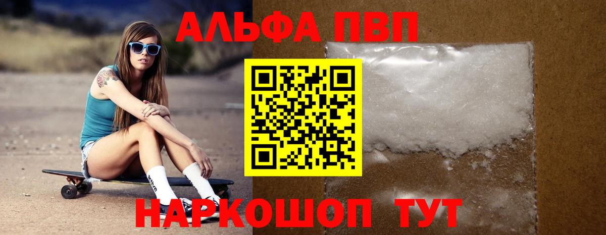 Альфа ПВП СК Новодвинск