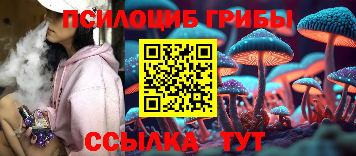 Псилоцибиновые грибы Cubensis  Псилоцибиновые грибы мухоморы  Вход с VPN  Новодвинск 